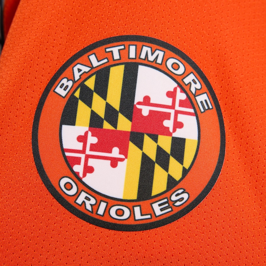 Adley Rutschman Baltimore Orioles Nike 2nd Alternate Limited Player Jersey - Orange thumbnail 13